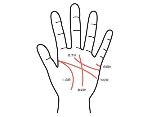 感情線上方多一條線|手相怎麼看？感情線、智慧線、生命線在哪裡？長度、。